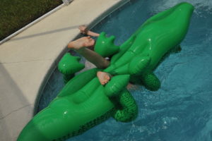 Alligator Racing - Alistair the Alligator claims another victim on the trick 'deep end turn'.